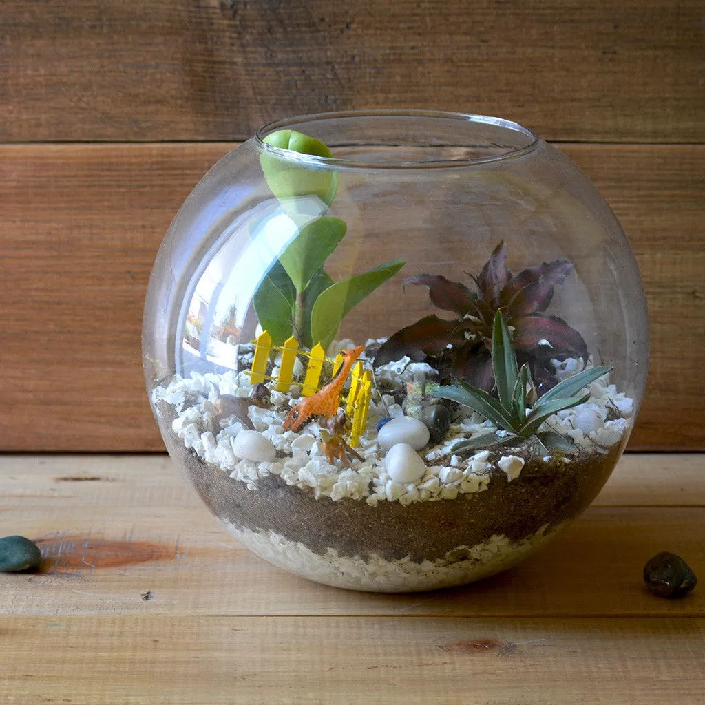 Arctic Forest Terrarium Kit