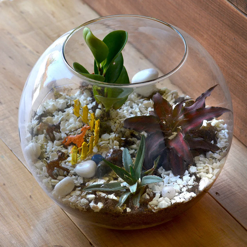 Arctic Forest Terrarium Kit